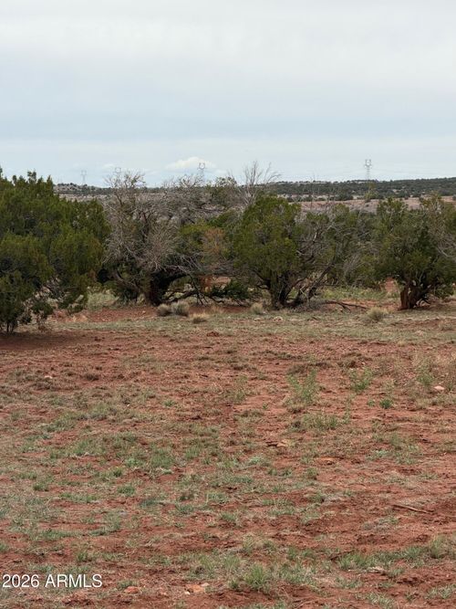 20244012-N6126 N N6126 --, St Johns, AZ, 85936 | Card Image