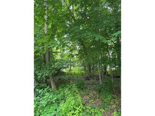 XXX 1st St, CENTURIA, WI, 54824 | Card Image