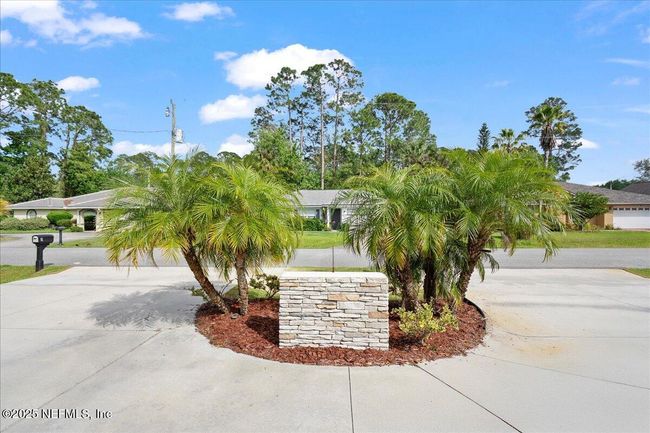 Palm Tree Driveway landscape | Image 5
