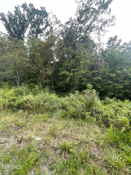 0 Mary Patton Hwy, Elizabethton, TN, 37643 | Card Image