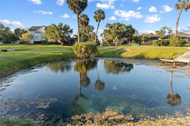 7351 Spring Mountain Ln, House other with 5 bedrooms, 4 bathrooms and null parking in YALAHA FL | Image 91