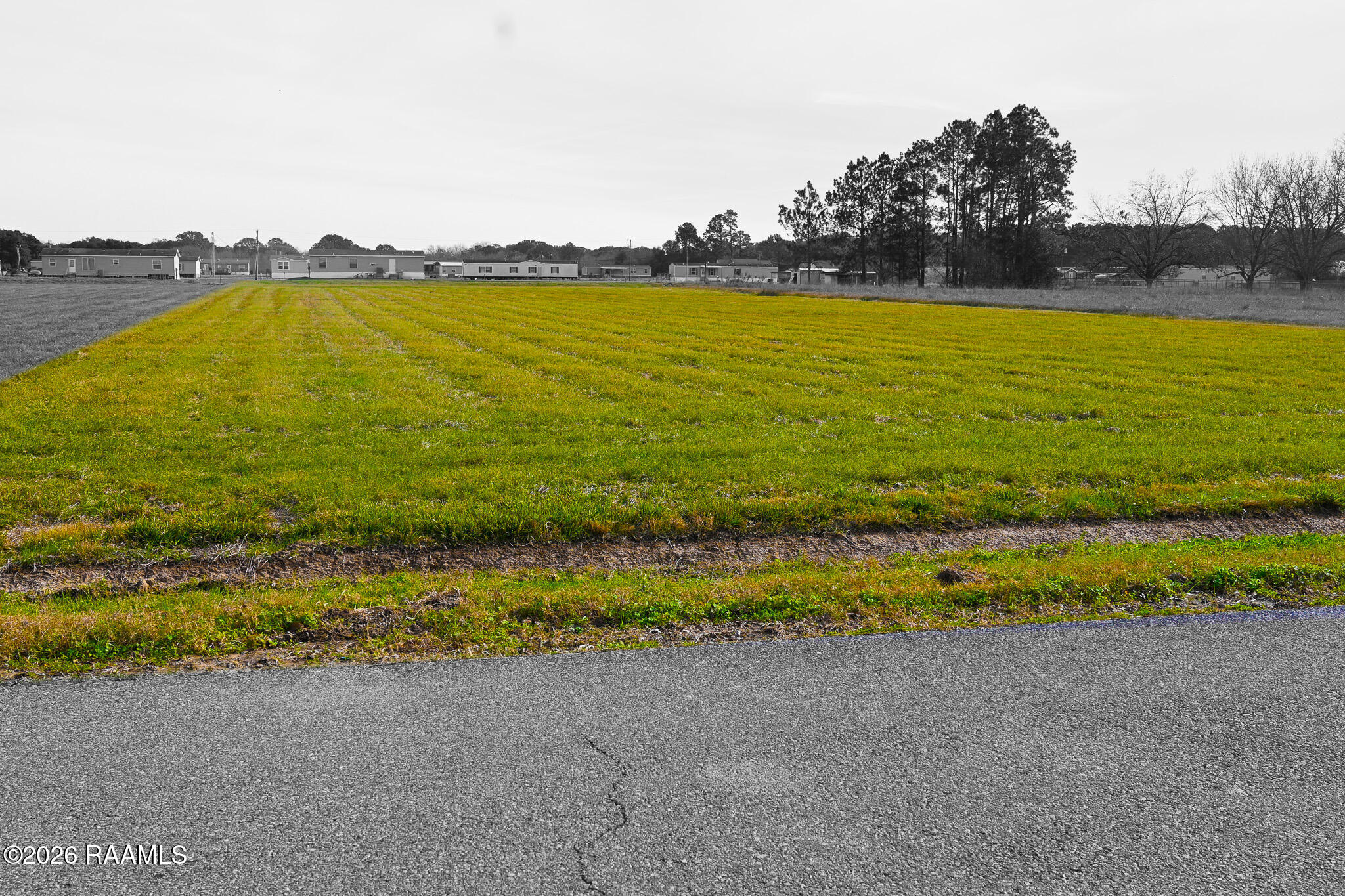 Land in Opelousas