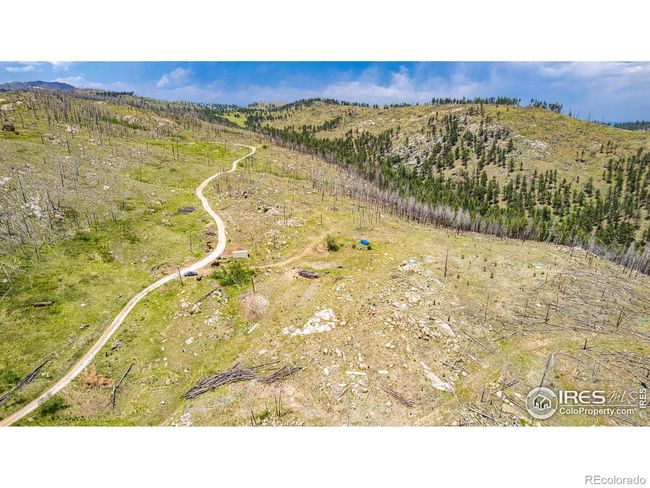 2384 Rist Creek Rd, Home with 0 bedrooms, 0 bathrooms and null parking in Bellvue CO | Image 8