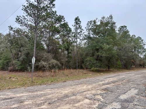 517 E Nemo Dr, CITRUS SPRINGS, FL, 34434 | Card Image