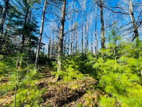 Lot #3 Yellow Birch Rd, Presque Isle, WI, 54557 | Card Image