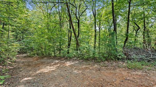 23 B Double Knob, Cherry Log, GA, 30522 | Card Image