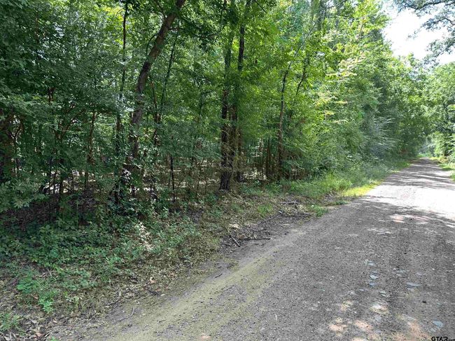 Tract 23 Juniper Rd, Home with 0 bedrooms, 0 bathrooms and null parking in Big Sandy TX | Image 4
