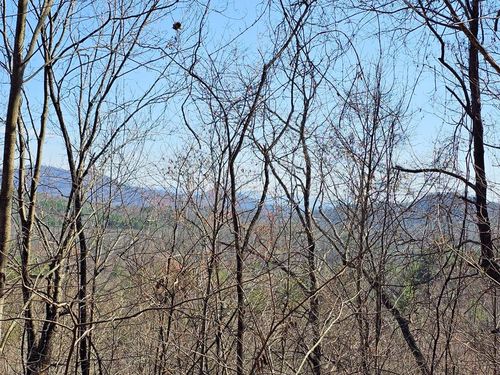 Lot 39 Merlin Trl / Warbler Road, Murphy, NC, 28906 | Card Image
