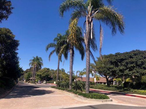 6645 Caminito Scioto, La Jolla, CA, 92037-5827 | Card Image