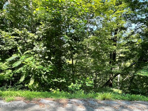 Lot 926 Stoneway Ct, White Pine, TN, 37890 | Card Image