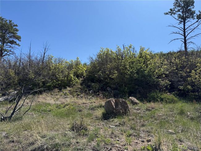 29 18 X, Home with 0 bedrooms, 0 bathrooms and null parking in Cotopaxi CO | Image 32