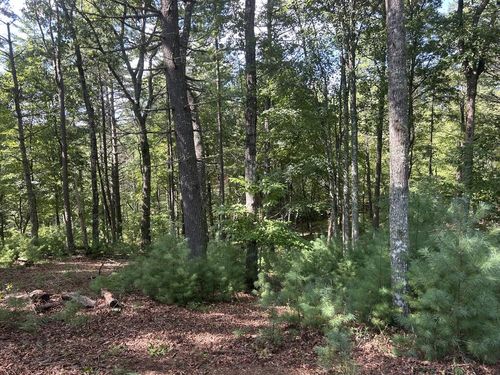 Lt 64 Harmony Way, Morganton, GA, 30560-1792 | Card Image