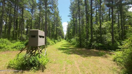 1026 Mt Olive Rd, Mount Olive, MS, 39119 | Card Image