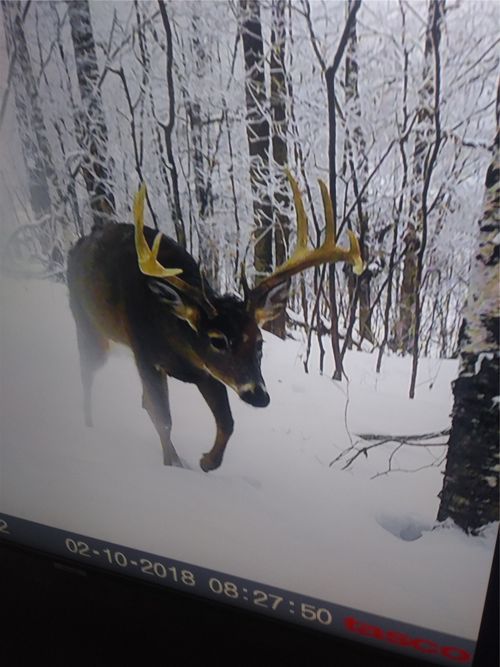 2339 150th 150th Street, Luck, WI, 54853 | Card Image