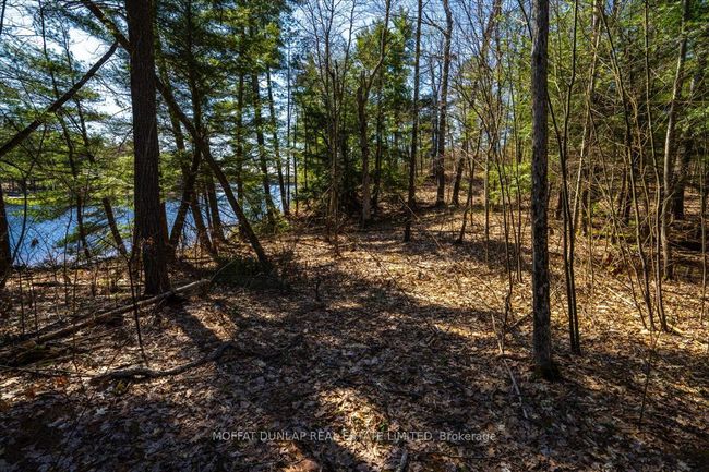 24 Webber Island N/A, Home with 0 bedrooms, 0 bathrooms and null parking in Georgian Bay ON | Image 6