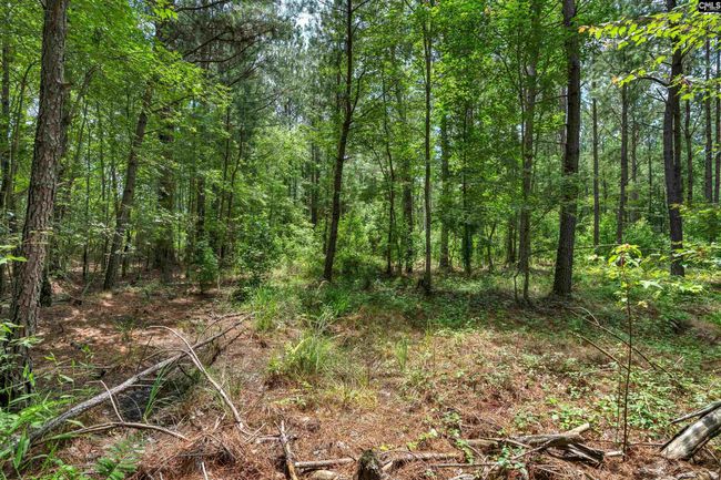 0000 N Brewington Rd, Home with 0 bedrooms, 0 bathrooms and null parking in Manning SC | Image 59