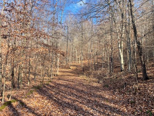 14645 Morehead Rd, Wallingford, KY, 41093 | Card Image