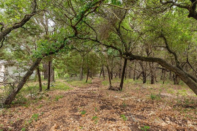 View of woods | Image 11