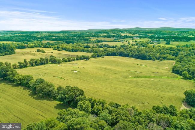 8160 Frogtown Rd, Home with 0 bedrooms, 0 bathrooms and null parking in MARSHALL VA | Image 16