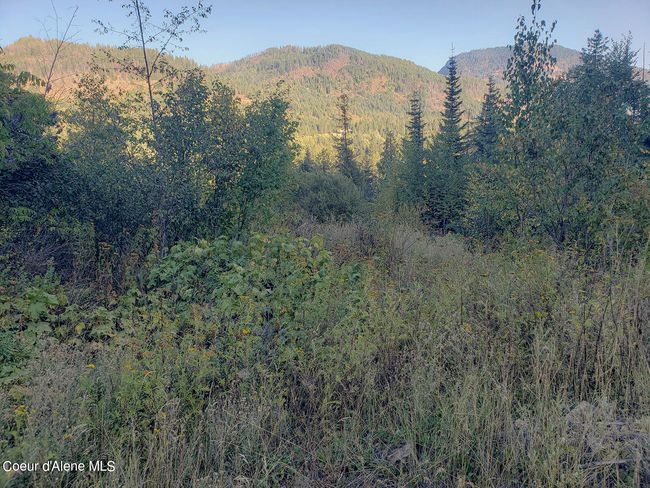 18 Majestic Mountain Rd, Home with 0 bedrooms, 0 bathrooms and null parking in Clark Fork ID | Image 6