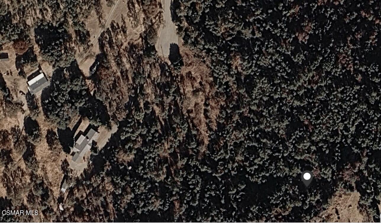 Land in Squaw Valley 4