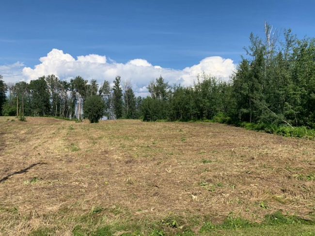 7A Bartlett Lane, Home with 0 bedrooms, 0 bathrooms and null parking in Widewater AB | Image 8