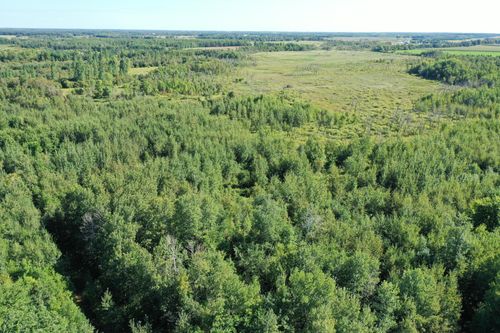 TBD 385th St, New York Mills, MN, 56567 | Card Image