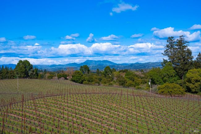 2614 Scotts Right Of Way, House other with 4 bedrooms, 4 bathrooms and 10 parking in Sebastopol CA | Image 87