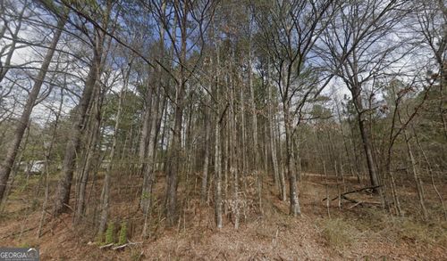 TBD Prior Station Rd, Cedartown, GA, 30125 | Card Image