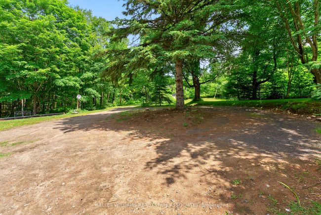 17377 35 Highway, House other with 3 bedrooms, 1 bathrooms and 8 parking in Algonquin Highlands ON | Image 39