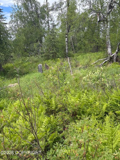 22909 E Rampart Loop, Talkeetna, AK, 99676 | Card Image