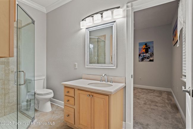 26221 Pheasant Run, House other with 4 bedrooms, 3 bathrooms and null parking in Wesley Chapel FL | Image 51