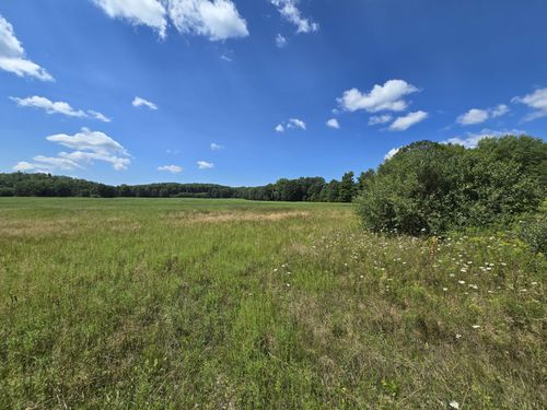 000C Leckrone Road, Brown Township, MI, 49619 | Card Image