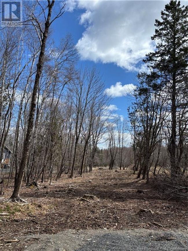 4640 Rte 127, Home with 0 bedrooms, 0 bathrooms and null parking in Chamcook NB | Image 4