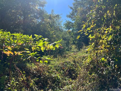 VL Peavy Rd, Marion Township, MI, 48843 | Card Image