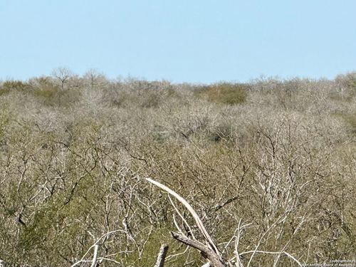 0 County Road 148, Kenedy, TX, 78119 | Card Image