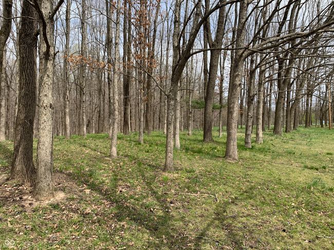 Walnut Grove | Image 39
