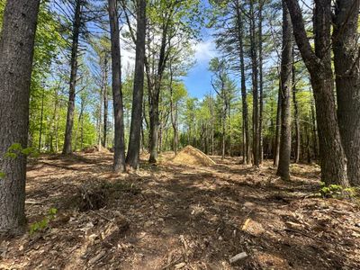 LOT-2 - LOT 2 Mountain Shadows Drive, Home with 0 bedrooms, 0 bathrooms and null parking in Tuftonboro NH | Image 1