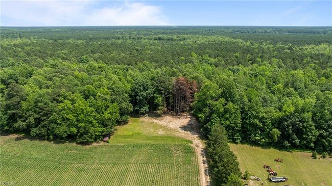 Aerial view | Image 7