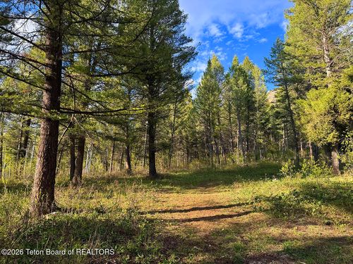 LOT 83 Oak Drive Drive, Star Valley Ranch, WY, 83127 | Card Image