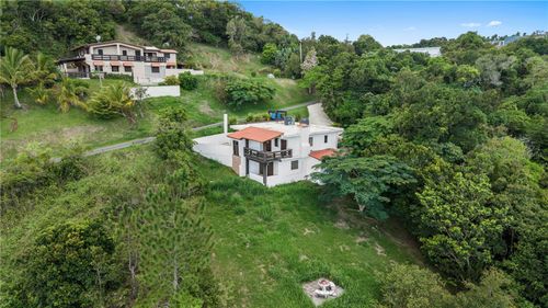 Carr 162 Avenida San Jose E, Aibonito, PR, 00705 | Card Image