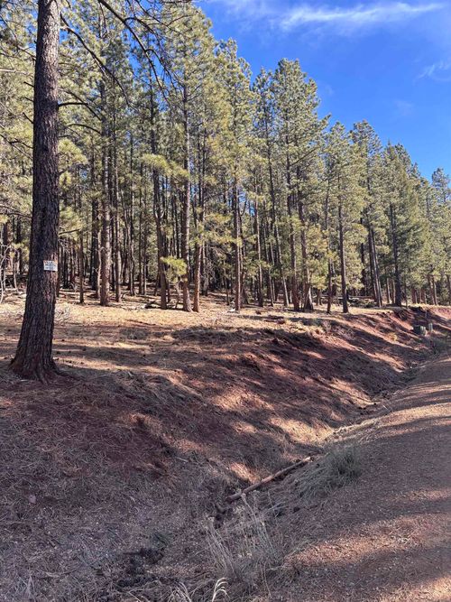 88 Mammoth Mountain Rd, Angel Fire, NM, 87710-8060 | Card Image