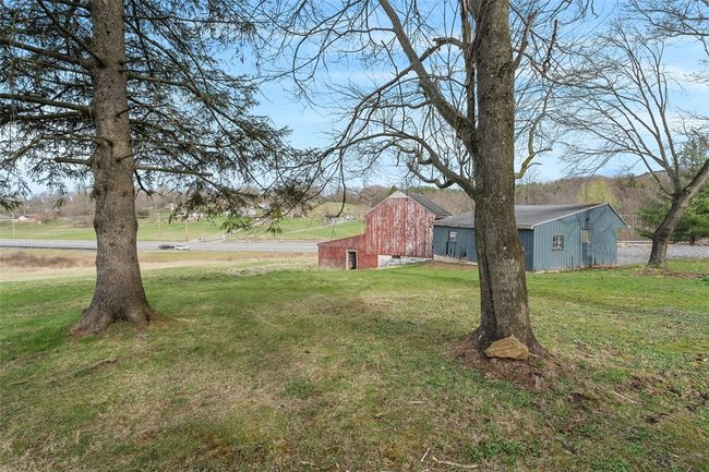 Mature trees and a vast yard. Beautiful! | Image 36