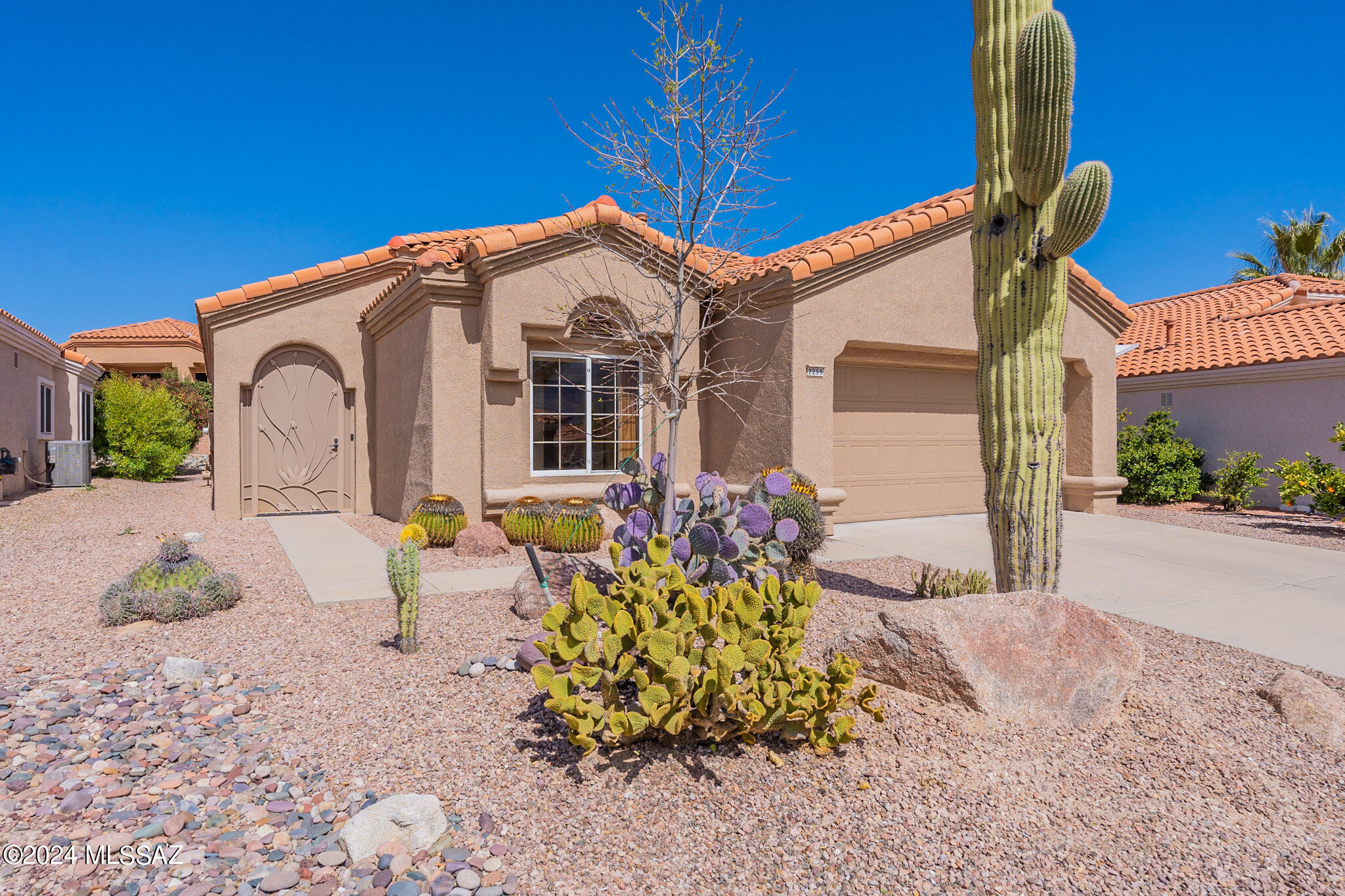 Jonquil St, Oro Valley, AZ 85755