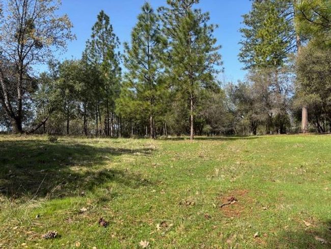19292 Shawnee Trl, Home with 0 bedrooms, 0 bathrooms and null parking in Mokelumne Hill CA | Image 64