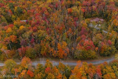 177 Cabin Mountain Road, Home with 0 bedrooms, 0 bathrooms and null parking in Davis WV | Image 1