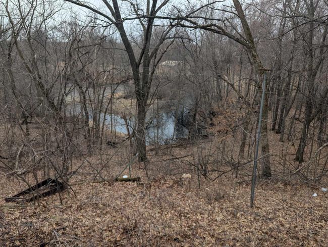 View of the pond behind house | Image 34