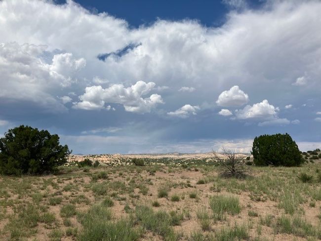 3 Private Drive 1613 B, Home with 0 bedrooms, 0 bathrooms and null parking in Medanales NM | Image 11