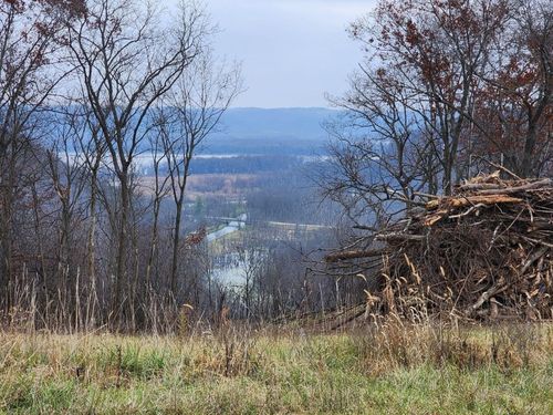 lot-7-royal-oaks-estate-000 Royal Lane, Harpers Ferry, IA, 52146 | Card Image