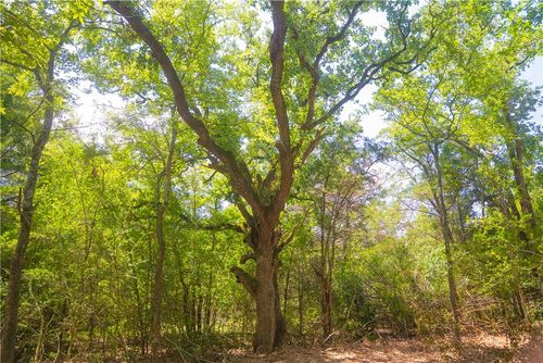 2 Red Hill Road, Calvert, TX, 77859 | Card Image
